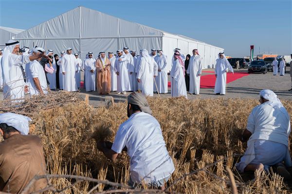 حاكم الشارقة يشهد حصاد المرحلة الأولى لمزرعة القمح 